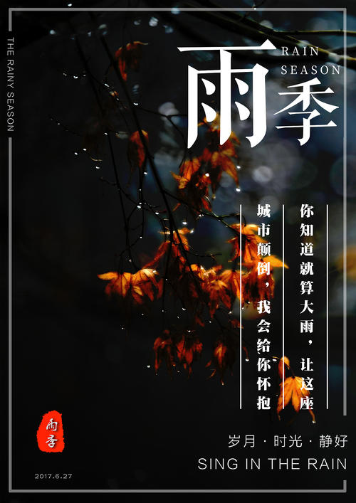 尼尔森理工学院Accounting Diploma